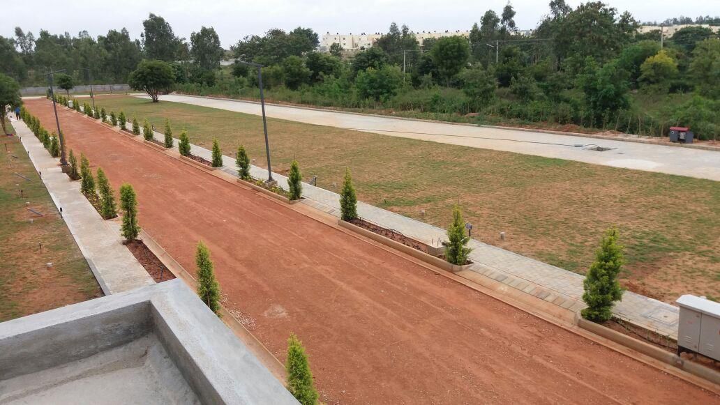 WhatsApp Image 2025-08-05 at 9.31.46 AM (1)